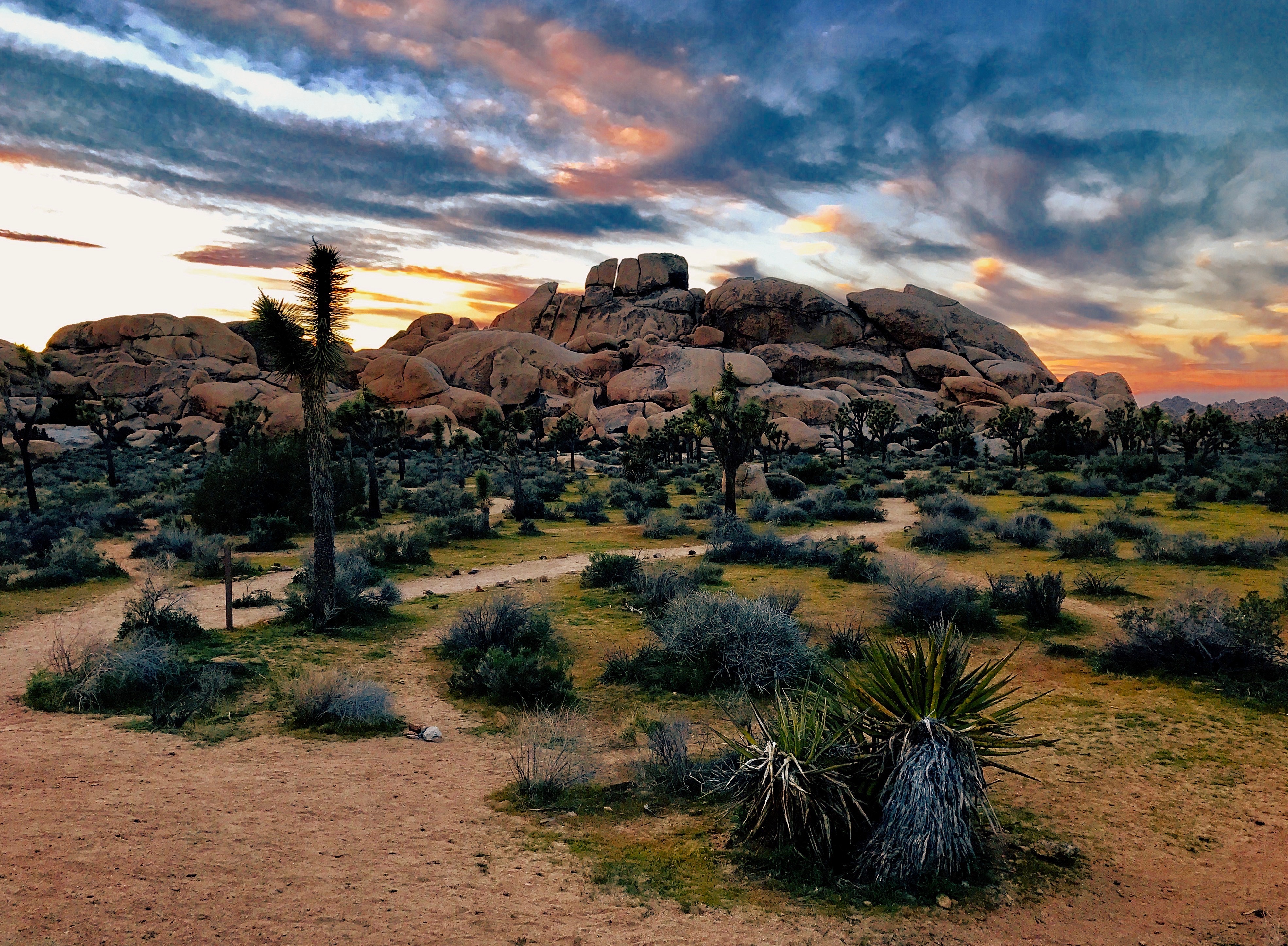 places to visit joshua tree national park