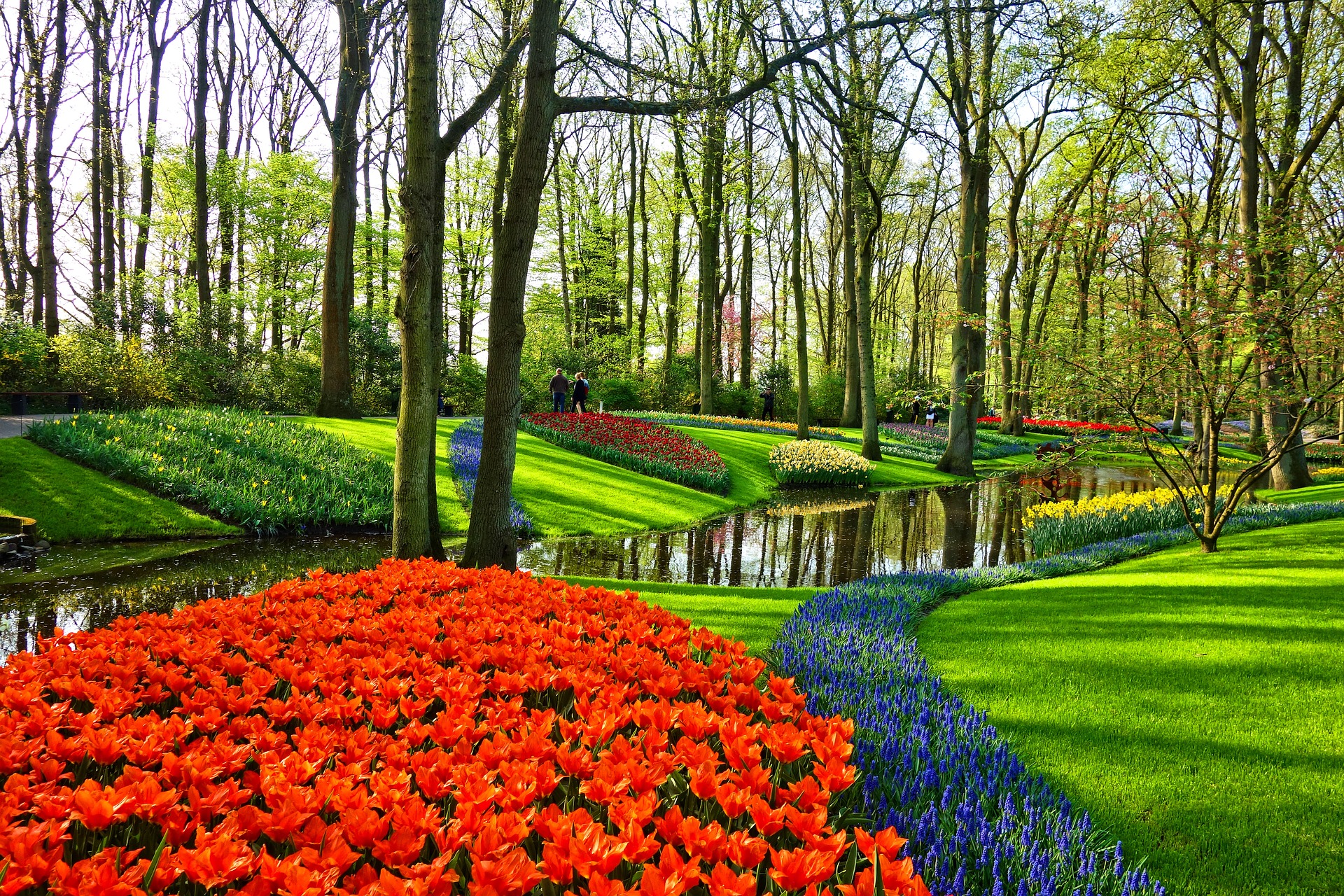 The Most Beautiful Botanical Gardens in the World Traveler Dreams