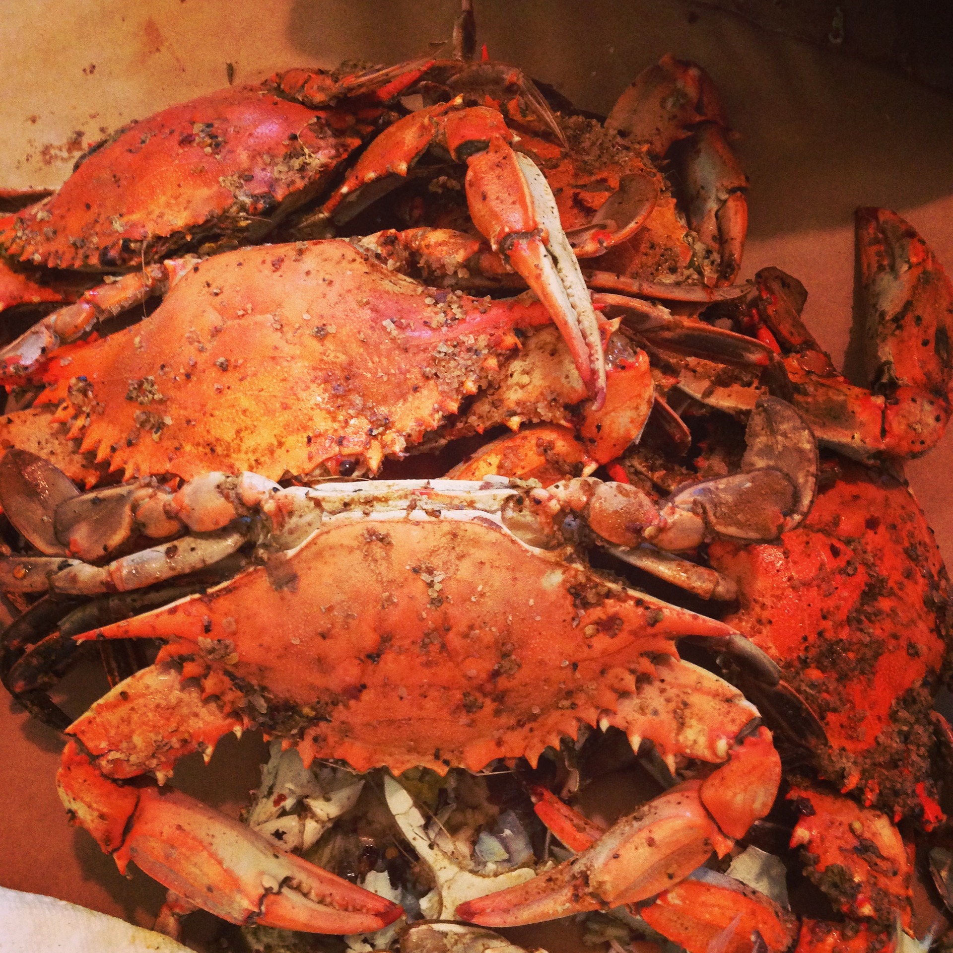 Baltimore's crabs