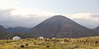 Visit Mongolia