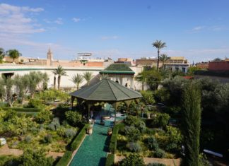 Garden in Marrakech, Morocco