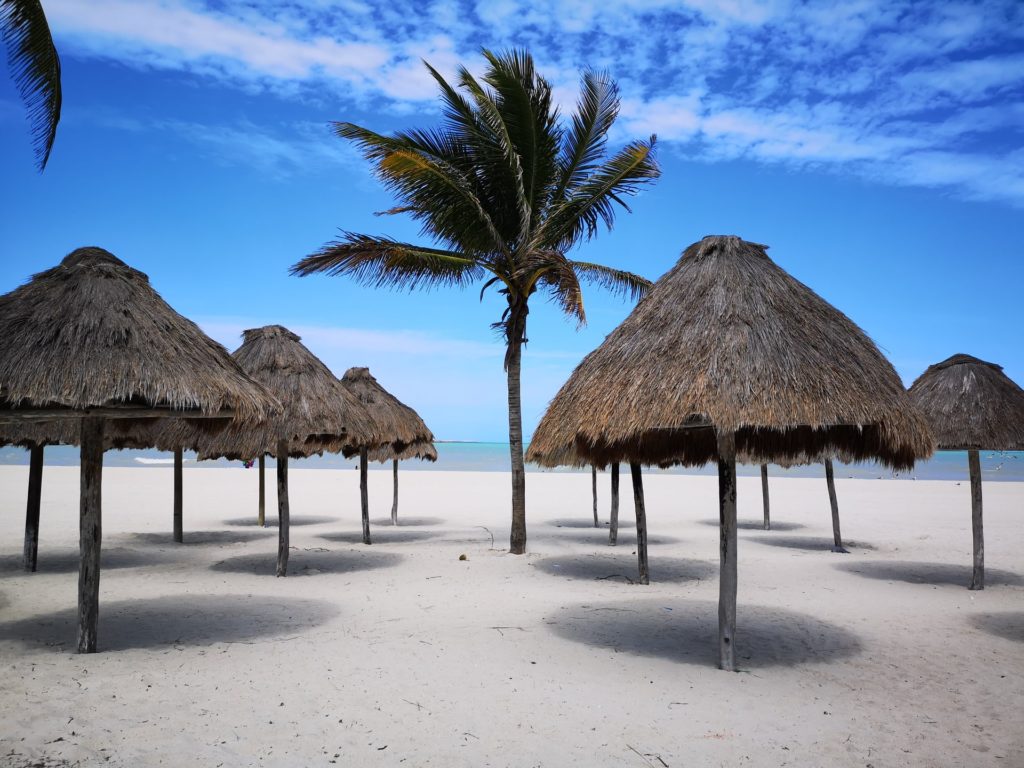 3 Things to Do in Progreso, Mexico Traveler Dreams