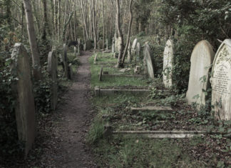 Abandoned graves of Highgate Cemetery in London, UK.