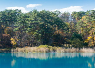 Goshiki-numa Pond, Bandai Asahi National Park, Japan.