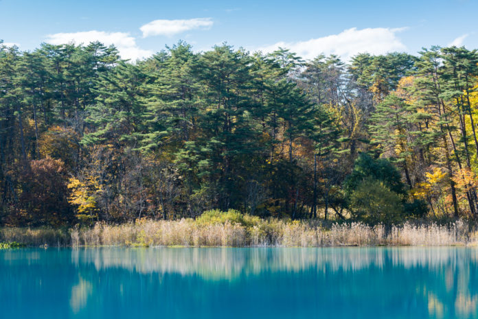 Goshiki-numa Pond, Bandai Asahi National Park, Japan.