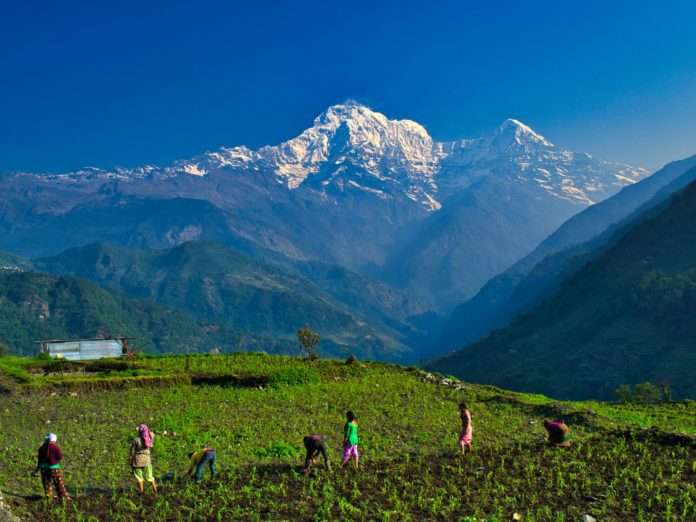 Villagers working in the valleys around the Annapurna