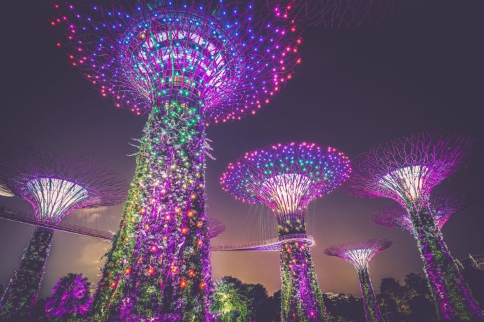 Supertree Grove at Gardens by the Bay, Singapore.