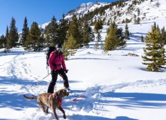 Man skiing with his dog in Colorado