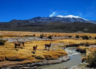 Nevado Sajama, Bolivia.