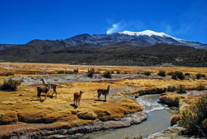 Nevado Sajama, Bolivia.