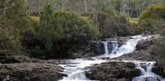 Tasmania Waterfalls