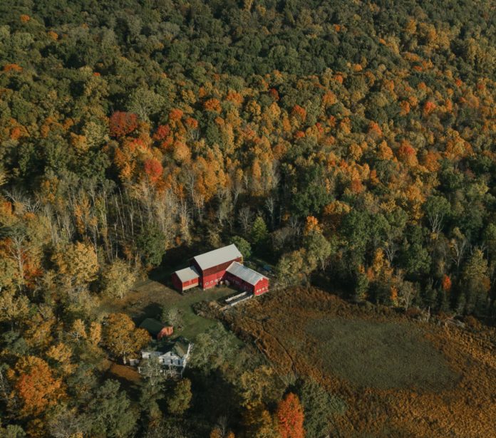 House surrounded by trees in Gardiner, NY, USA
