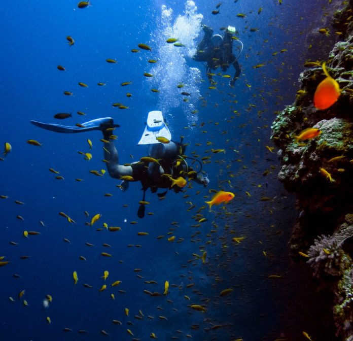 Diving in the Red Sea, Egypt