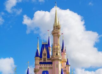 Disney Castle