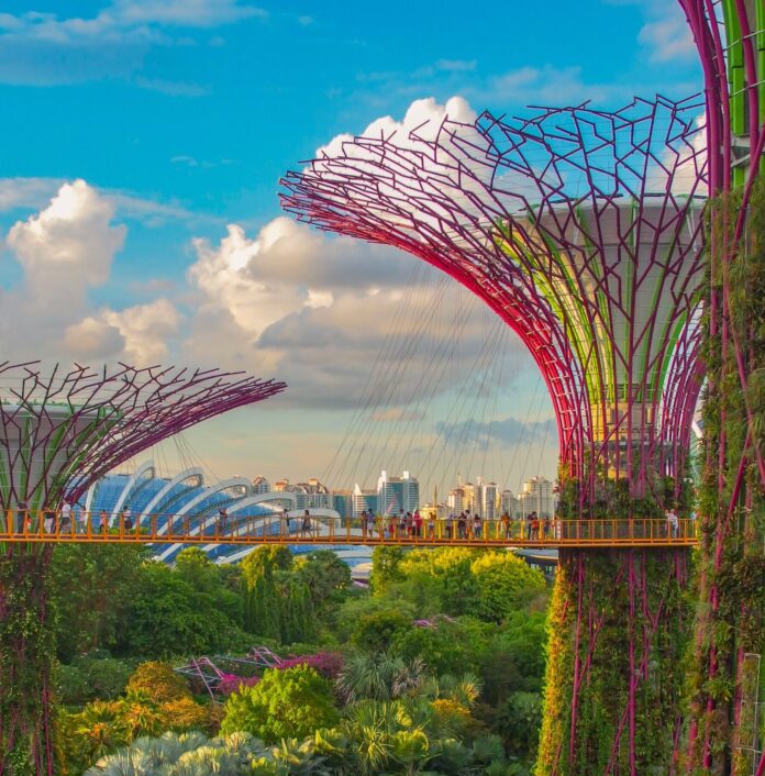 Super tree grove, Singapore