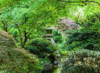 Portland Japanese Garden
