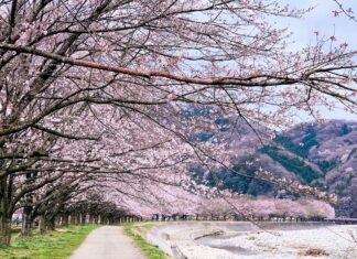 Kanuma, Tochigi, Japan