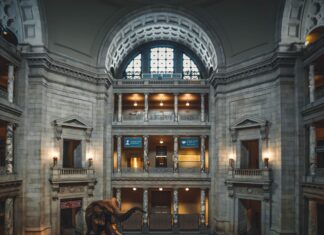 Smithsonian National Museum of Natural History, Washington, United States