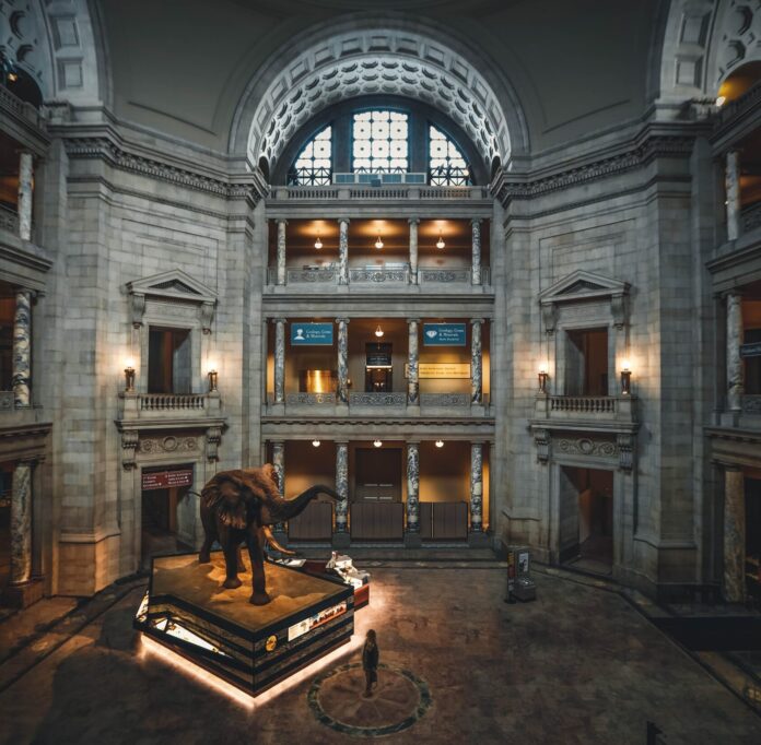 Smithsonian National Museum of Natural History, Washington, United States