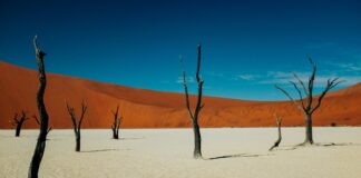 Deadvlei, Sossusvlei, Namibia