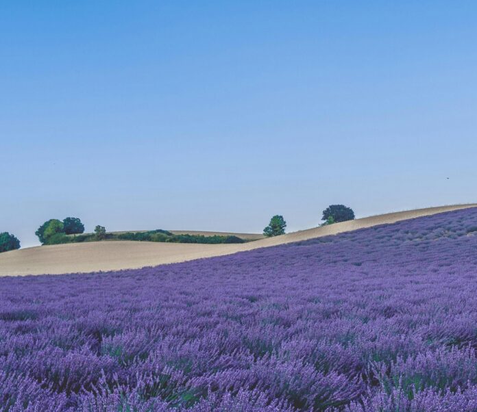 Provence, France