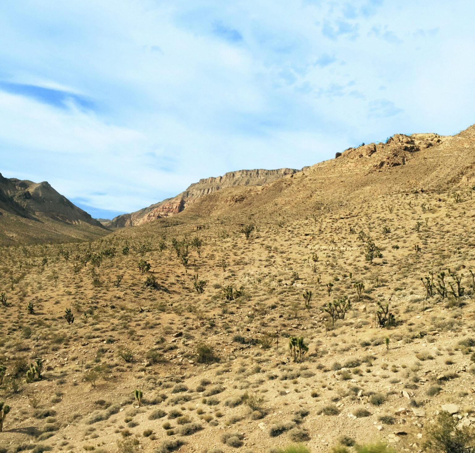 3 Most Beautiful Deserts in the USA Traveler Dreams