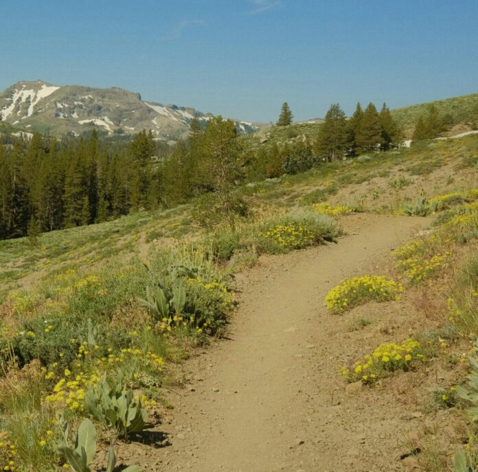 Pacific Crest Trail, California, USA
