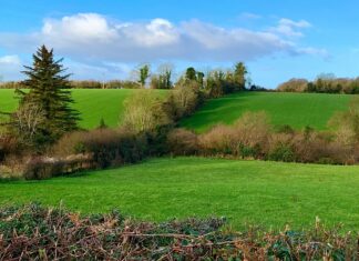 Ards Forest Park, County Donegal
