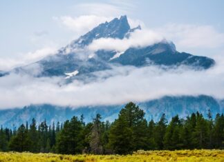 Yellowstone, Montana, USA