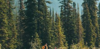 fall hiking