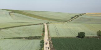 Camino de Santiago, Spain